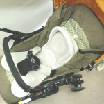 TOCCO Rev / トッコ レヴ