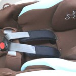 ベッティーノ STD