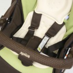 ラウラクワトロ　ブラウンドット