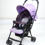 メチャカルファーストEZ-360 グレープ