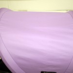 メチャカルファーストEZ-360 グレープ