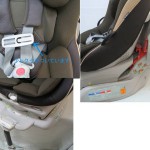 ゼウスターンEG ZW　ゴールドブラウン