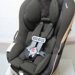 ゼウスターンEG ZW ゴールドブラウン