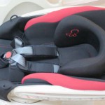 ベッティーノ STD