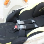 ベッティーノ STD