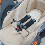 ベッティーノ DX