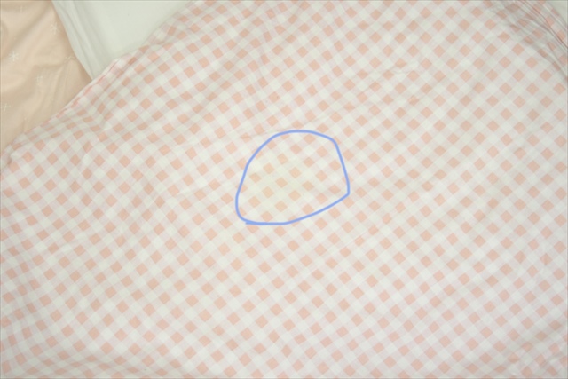 サンデシカ　M.クッション