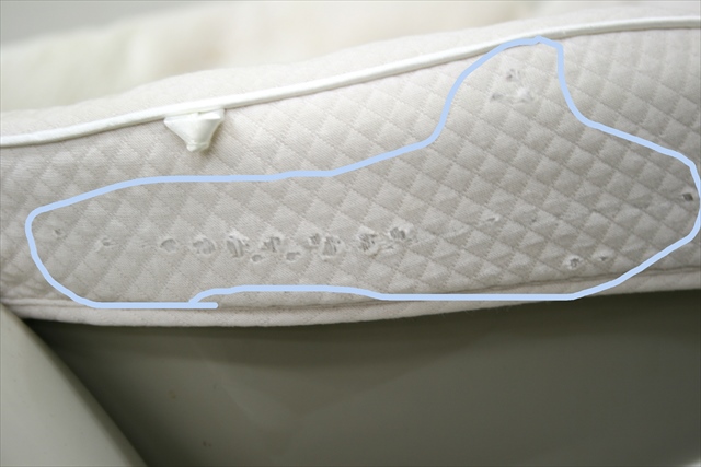 EXロアンジュAT LY