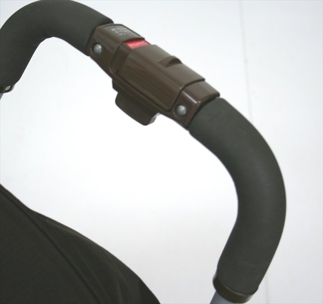 キャンディープラス　バートブラウン