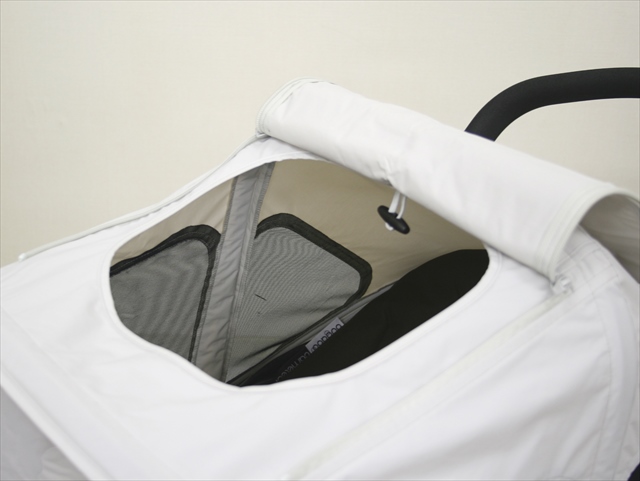 バガブー　カメレオン３