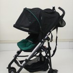 スティックプラス インディヴィグリーン