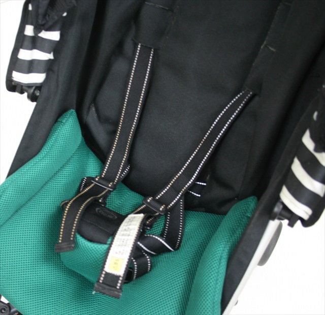 スティックプラス インディヴィグリーン