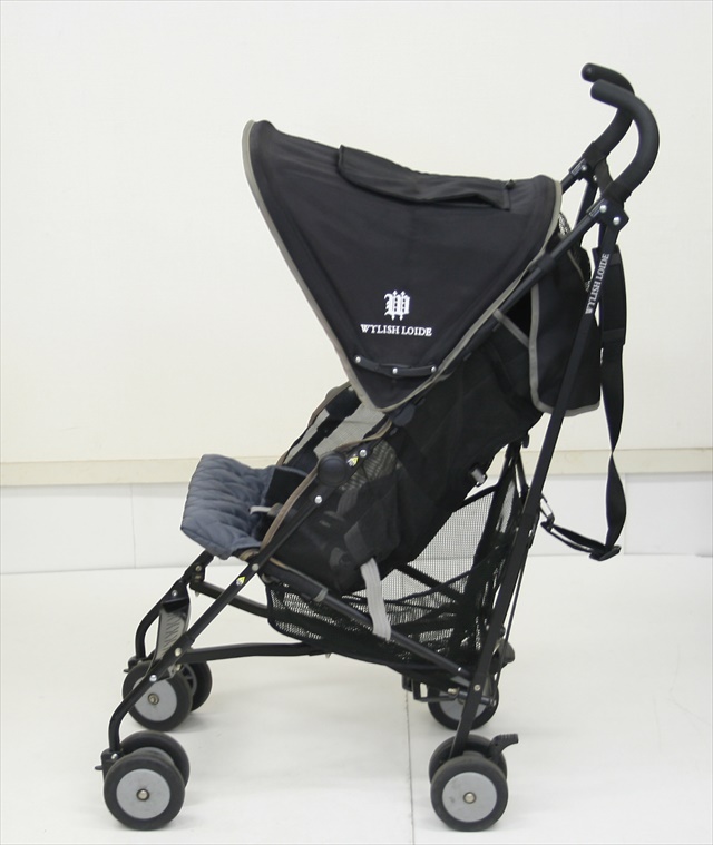 ワイリッシュ ロイド