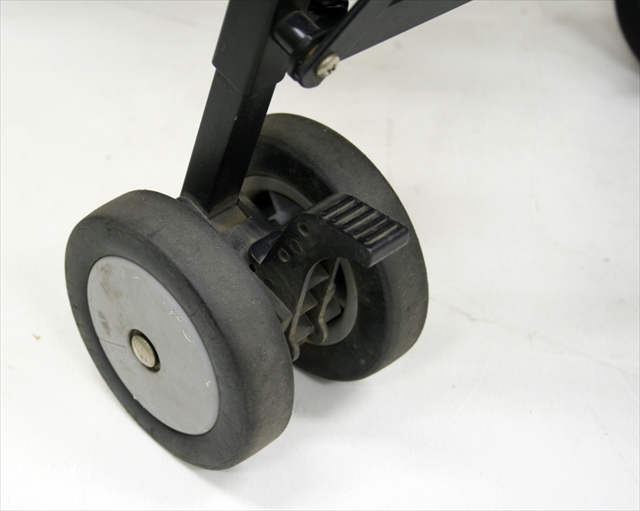 ワイリッシュ ロイド