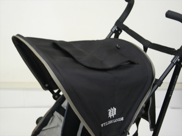 ワイリッシュ ロイド