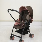 カルーン シェルピンク アップリカ