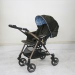 Premige ショコラミント