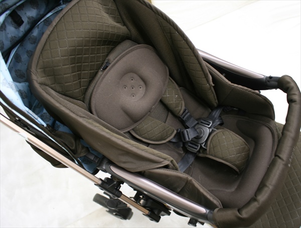 Premige ショコラミント