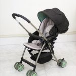 カルーンプラス ジャニスグリーン