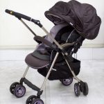 ディアクラッセ オート4キャス XZ-600 パープルリーフ コンビ