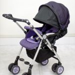 ソラリア プレミアム 2013 ベルテッドイリス