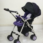 ソラリア プレミアム 2013 ベルテッドイリス