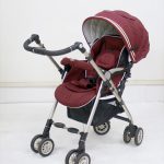 ソラリア 2013 タッジオボルドー 