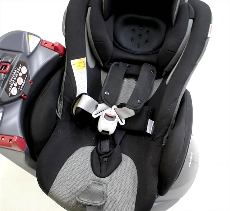 フラディア ディアターン バウンシンググレー アップリカ