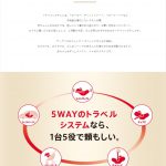 スムーヴTS インファントカーシート