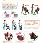 ディアクラッセ オート4キャス エッグショック FD