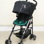 スティックプラス インディヴィグリーン アップリカ