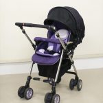 ソラリア プレミアム 2013 ベルテッドイリス