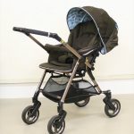 プレミージュ Premige ショコラミント ピジョン