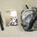 エアバギーココ ブレーキモデル ブラック&ブラック