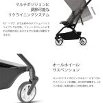 サイベックス イージーS ツイストマンハッタングレー