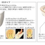 ゼウスターン ZW