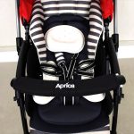 ラクーナ デュアル ボーダーレッドRD