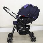 ラクーナ2015 ブルーベリーコンフィチュールNV