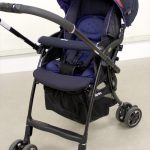 ラクーナ2015 ブルーベリーコンフィチュールNV