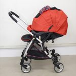 ランフィ エフ ブリティッシュレッド