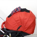 ランフィ エフ ブリティッシュレッド