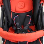 ランフィ エフ ブリティッシュレッド