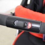 ランフィ エフ ブリティッシュレッド