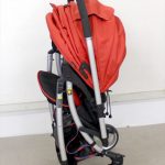 ランフィ エフ ブリティッシュレッド