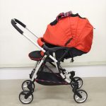 ランフィ エフ ブリティッシュレッド