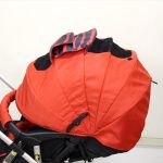 ランフィ エフ ブリティッシュレッド