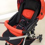 ランフィ エフ ブリティッシュレッド