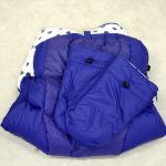 エアバギーココ ブレーキモデル クルーズライン ブライトンブルー