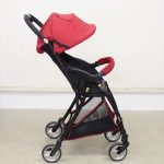 ビングル サンシャインレッド ピジョン