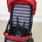 ビングル サンシャインレッド ピジョン